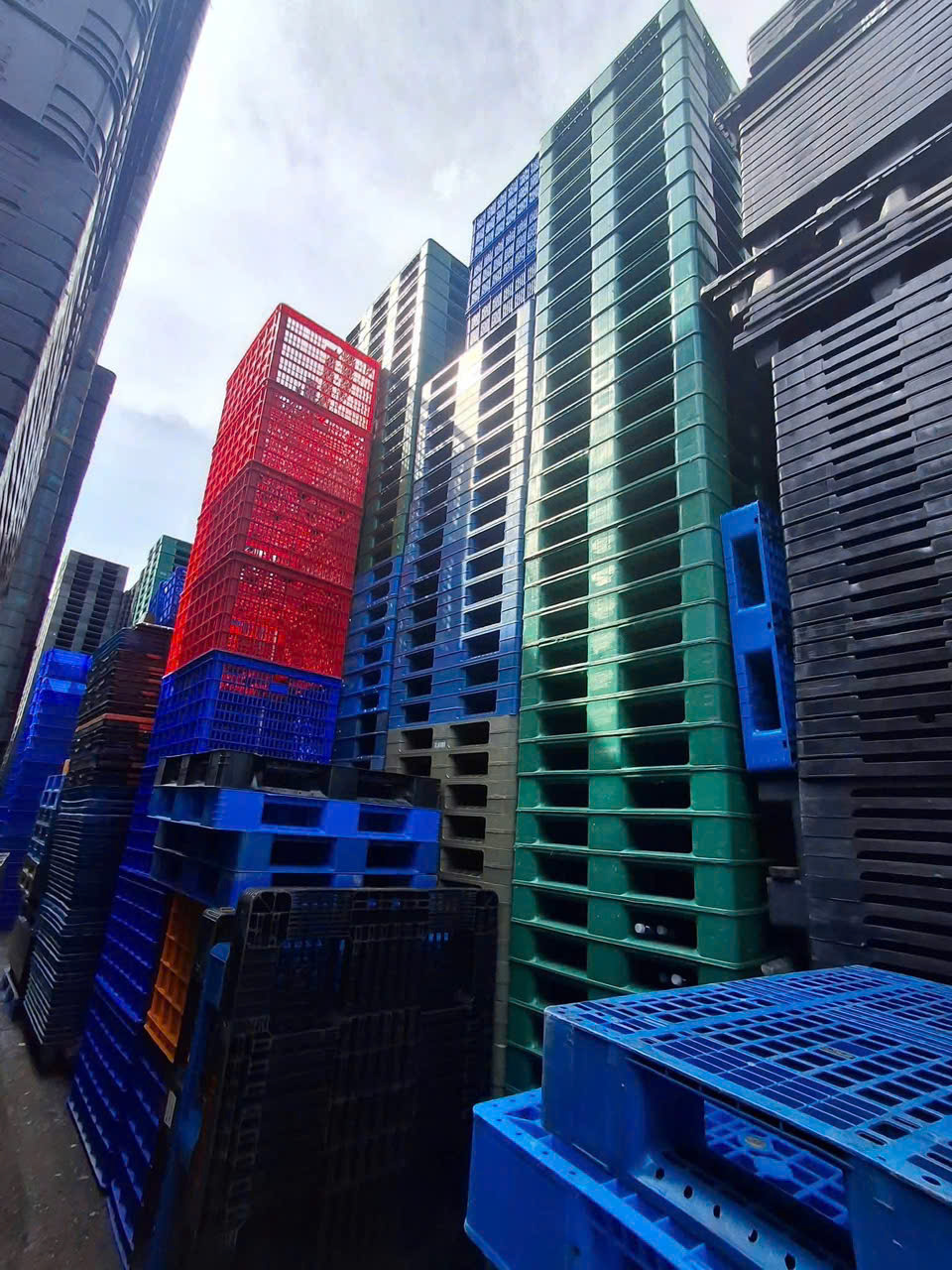 Thu mua pallet nhựa và gỗ Long Thành Nhơn Trạch