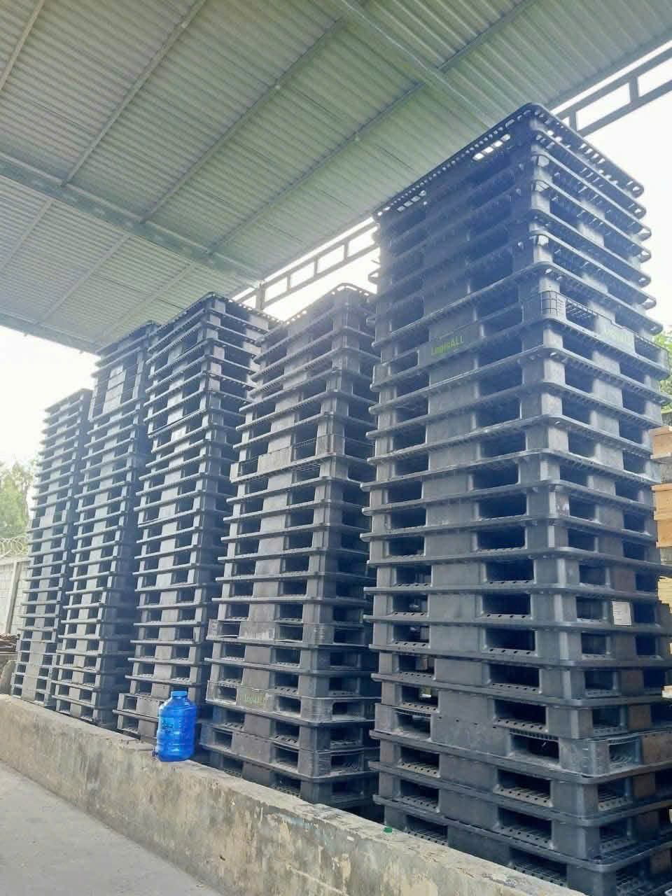 Pallet nhựa thu mua giá cao Bình Dương