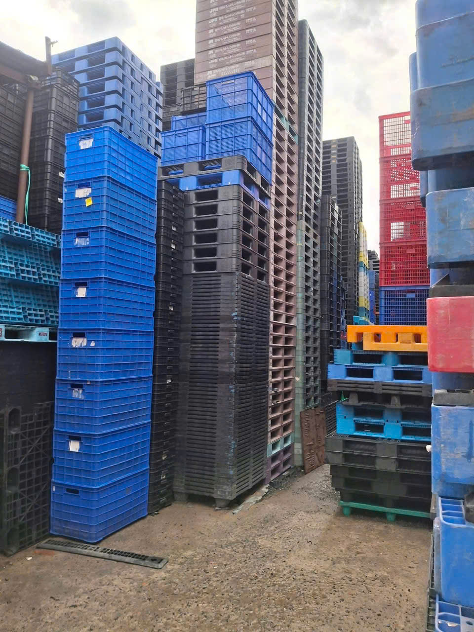 Pallet gỗ thu mua tận nơi Biên Hòa