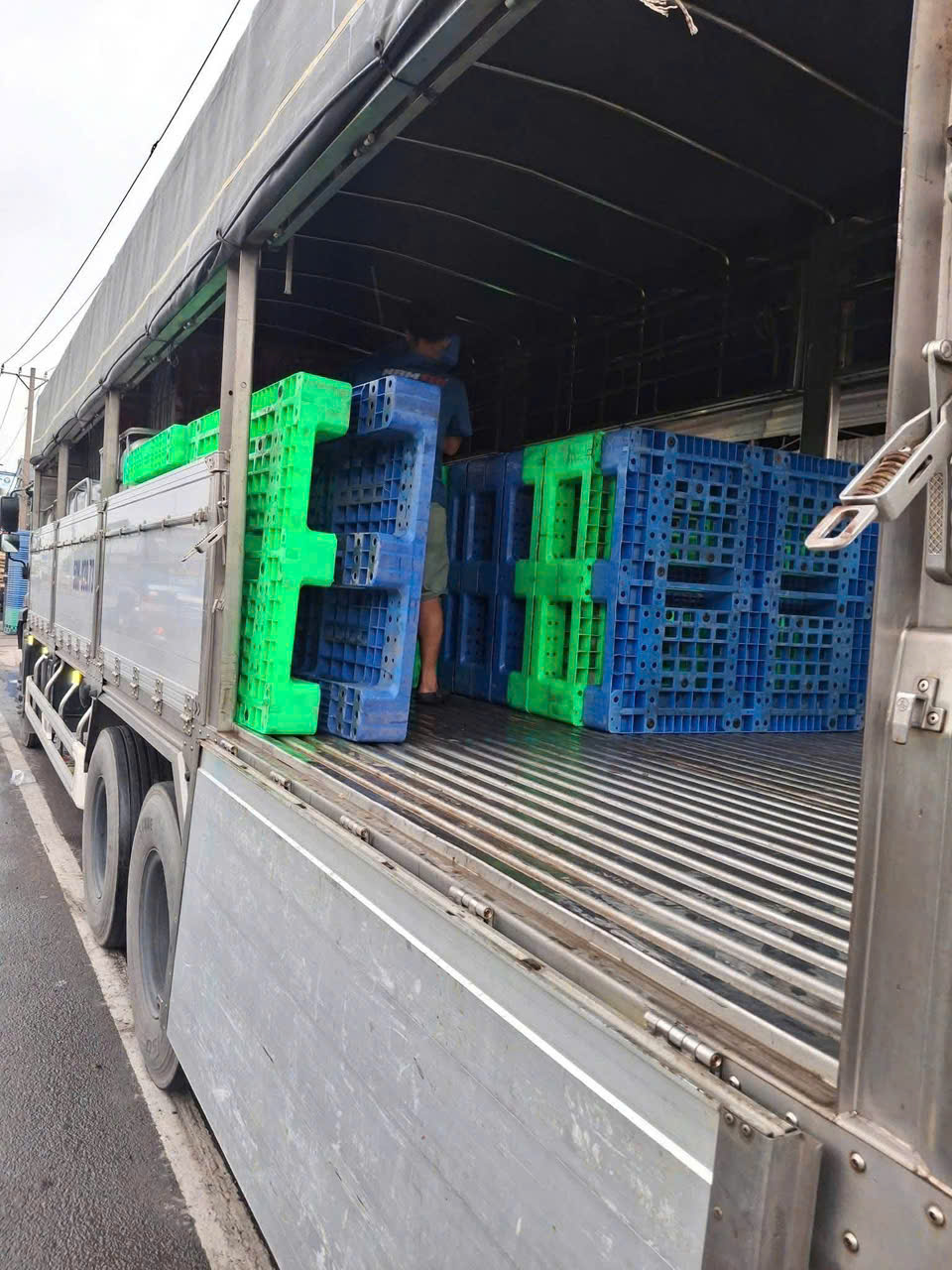 Kho pallet nhựa và gỗ thu mua số lượng lớn