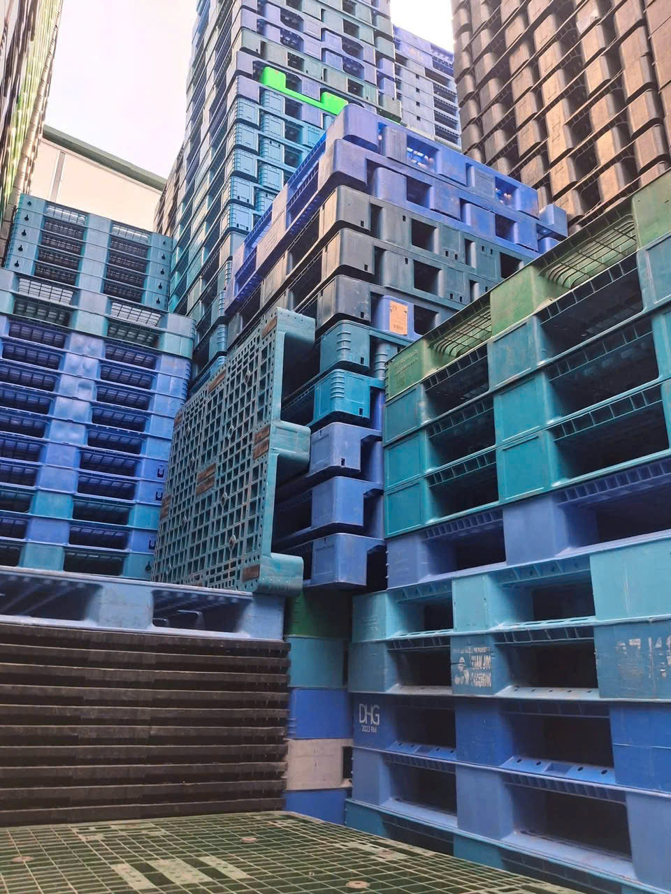 Xe thu gom pallet nhựa và gỗ tận nơi